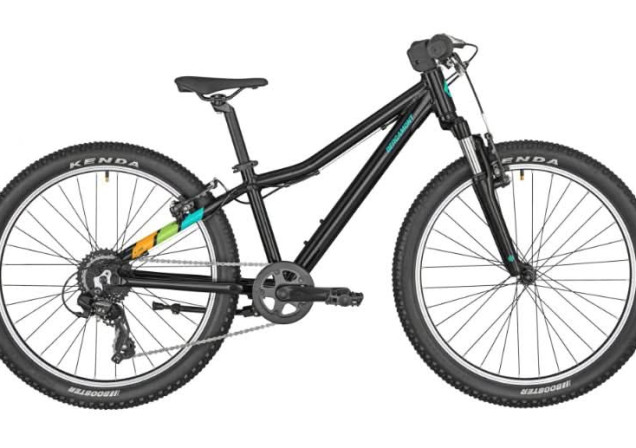 Bergamont Revox 24