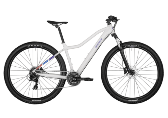Bergamont Revox 3 FMN